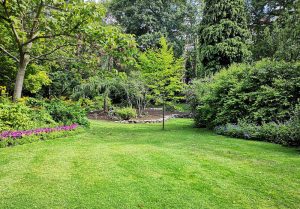 Optimiser l'expérience du jardin à Chateauvilain